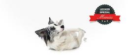 Barf Starter-Set für erwachsene Hunde mit Lammfleisch