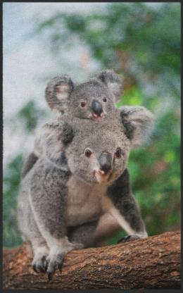 Fussmatte Koala 7629 - 70 cm x 100 cm / Ohne Gummirand