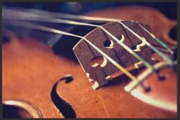 Fussmatte Violine 6134 - 75 cm x 50 cm / Mit Gummirand