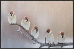 Fussmatte Vögel 4527 - 75 cm x 150 cm / Mit Gummirand