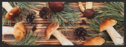 Küchenteppich Pilz 4365 - 100 cm x 250 cm / Ohne Gummirand