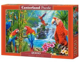 Parrot Meeting - Puzzle - 2000 Teile