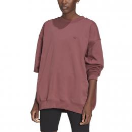 adidas Originals Adicolor Oversized Sweatshirt