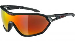 Alpina S-Way L CM+ Fahrradbrille SEAMOSS GREEN ONE SIZE