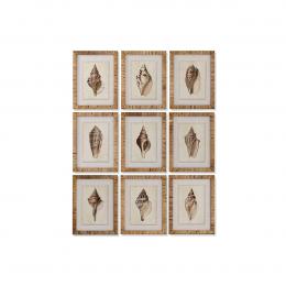 Bild Home ESPRIT Mediterraner Meeresschnecke 30 x 2,5 x 40 cm (9 Stück)