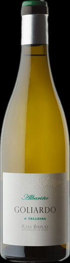 Bodegas Forjas del Salnes Goliardo A Telleira Albarino 2020