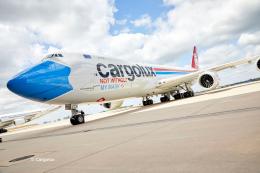 Boeing 747-8F CARGOLUX LX-VCF - Facemask