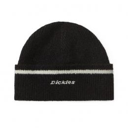 Dickies Chalkville Beanie