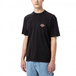 Dickies Icon Washed Tee