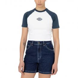 Dickies Sodaville Tee