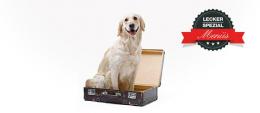 Dosen Menü für Hunde mit Rentierfleisch
