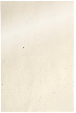 Duni Papier-Tischsets Recycle 20 x 30 cm Cream, 250 Stück