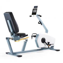 Emotion Fitness Liegeergometer Motion Relax 900, Standard