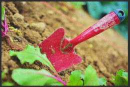 Fussmatte 10355 - 75 cm x 150 cm / Mit Gummirand