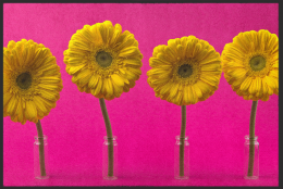 Fussmatte 10557 - 75 cm x 50 cm / Mit Gummirand