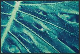 Fussmatte 11294 - 90 cm x 90 cm / Mit Gummirand