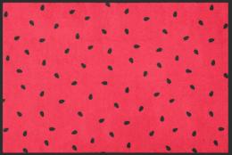 Fussmatte 4722 - 75 cm x 50 cm / Ohne Gummirand
