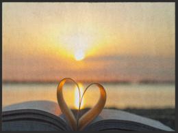 Fussmatte 4922 - 120 cm x 200 cm / Ohne Gummraind