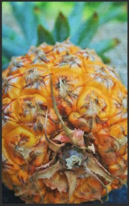 Fussmatte Ananas 7591 - 60 cm x 90 cm / Ohne Gummirand