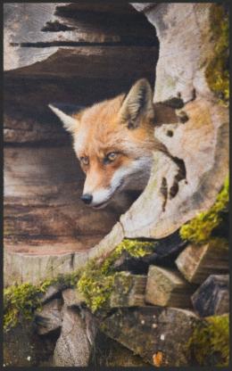 Fussmatte Fuchs 7755 - 200 cm x 300 cm / Mit Gummirand