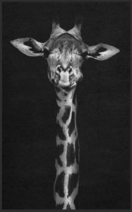 Fussmatte Giraffe 7687 - 150 cm x 190 cm / Ohne Gummirand