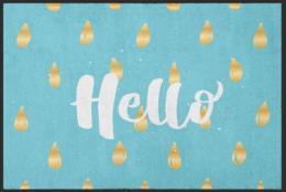 Fussmatte Hello 4046 - 90 cm x 65 cm / Ohne Gummirand