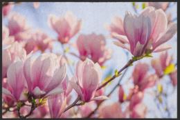 Fussmatte Magnolie 5084 - 90 cm x 65 cm / Ohne Gummirand