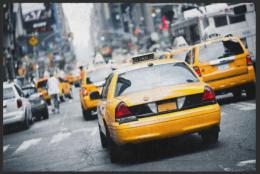Fussmatte New York Cab 4311 - 75 cm x 150 cm / Ohne Gummirand