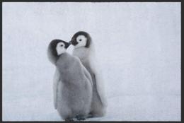 Fussmatte Pinguin 4812 - 100 cm x 200 cm / Mit Gummirand