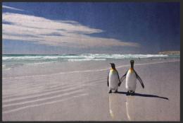 Fussmatte Pinguin 6053 - 100 cm x 150 cm / Ohne Gummirand