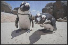 Fussmatte Pinguin 6071 - 100 cm x 150 cm / Mit Gummirand
