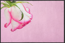 Fussmatte Rose 10942 - 75 cm x 150 cm / Mit Gummirand