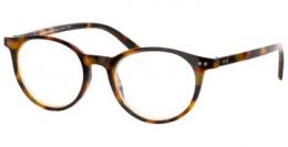 I Need You Lesebrille BLUEBREAKER Panto 4918 havanna