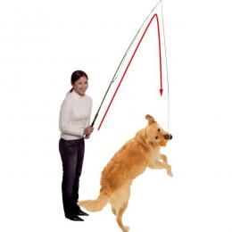 Karlie Dog Dangler Trainingsangel