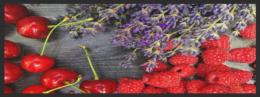 K&uuml;chenteppich 4397 - 100 cm x 300 cm / Ohne Gummirand