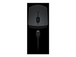 LENOVO Professional Wireless Combo