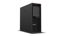 Lenovo ThinkStation P620 30E0 - Tower - 1 x Ryzen ThreadRipper PRO 3955WX / 3.9 GHz
