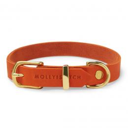 Molly & Stitch Butter Hundehalsband - Zeitlos Grau / silberner Karabiner / M