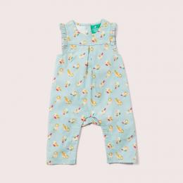 Rainbow Birds Sommer-Strampler