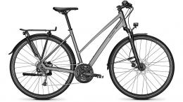 Raleigh Rushhour 1.0 Trapez JETGREY MATT