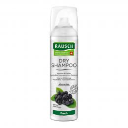 Rausch Trockenshampoo Fresh Spray