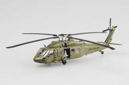 UH-60A Blackhawk 101st Airborne -The Infidel II
